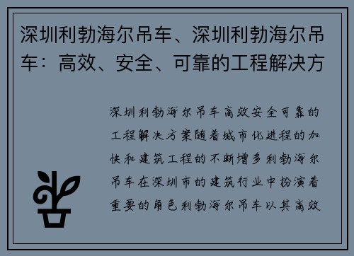 深圳利勃海尔吊车、深圳利勃海尔吊车：高效、安全、可靠的工程解决方案